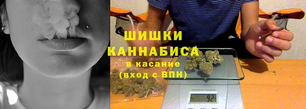 стаф Корсаков