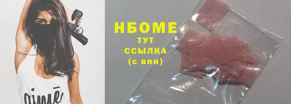 стаф Корсаков