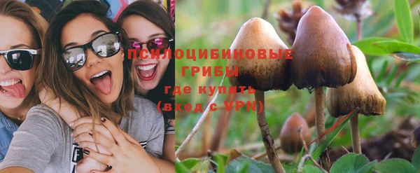 а пвп мука Козельск