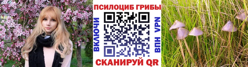 Купить  Павловский Посад  Псилоцибиновые грибы Psilocybine cubensis 